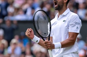 NG28-德约科维奇在加拿大队比赛中爆冷，大胜引发热议！的简单介绍