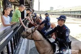 南宫28- 皇家社会训练开放日，今晚调整名单引欢呼，中超在即，数据趋势出现新变化